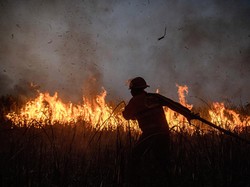 Dahsyat! Begini Peran Ilmu Kimia dalam Proses Pemadaman Kebakaran