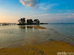 Jubir KKP Jawab Anies yang Bicara Mau Setop Ekspor Pasir Laut