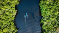Sensasi Susur Hutan Mangrove Palaes Bak Film Petualangan Sherina