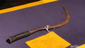 Celeng Kritis Usai Dibacok Bertubi-tubi oleh Saudara Mantan Pacar