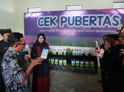 Petani Banyuwangi Kini BIsa Cek Ketersediaan Pupuk Lewat Smart Kampung