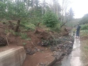 Petani di Soppeng Gagal Panen gegara Setahun Irigasi Tertimbun Longsor