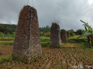 Melihat Bangunan Turbin Peninggalan Belanda di Ciamis Melihat Bangunan Turbin Peninggalan Belanda di Ciamis