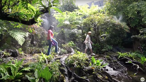 8 Foto Aviary Irfan Hakim, Bak Hutan Asli yang Harganya Capai Miliaran