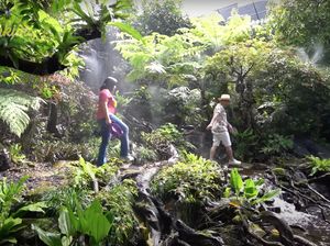 8 Foto Aviary Irfan Hakim, Bak Hutan Asli yang Harganya Capai Miliaran