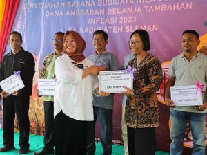 Dapat Insentif, Pemkab Sleman Beri Bantuan 15 Sarana Budidaya Ikan Nila Dapat Insentif, Pemkab Sleman Beri Bantuan 15 Sarana Budidaya Ikan Nila