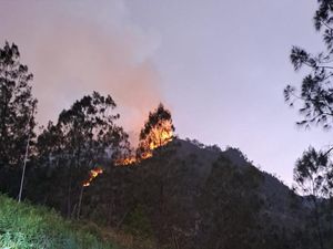 Kebakaran Hutan di Gunung Panderman Kota Batu Belum Padam