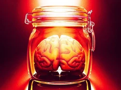 Kata Studi Terbaru, Dopamin Bantu Manusia Belajar dari Pengalaman