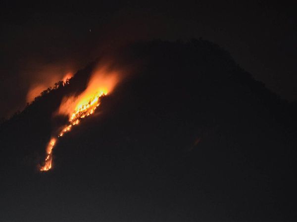 Penampakan Api Lalap Hutan dan Lahan di Gunung Panderman