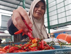 Harga Cabai di Kota Malang Tembus Rp 100 Ribu per Kg