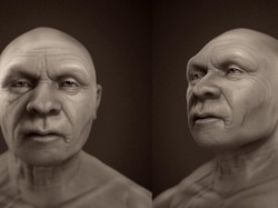 Rupa Manusia Neanderthal 56.000 Tahun Lalu Direkonstruksi, Ini Hasilnya
