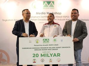 Asyik Petani Sawit Swadaya Dapat Fasilitas Kredit