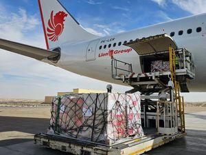 Bantuan Obat & Perlengkapan Medis RI buat Palestina Sudah Tiba di Mesir Bantuan Obat & Perlengkapan Medis RI buat Palestina Sudah Tiba di Mesir