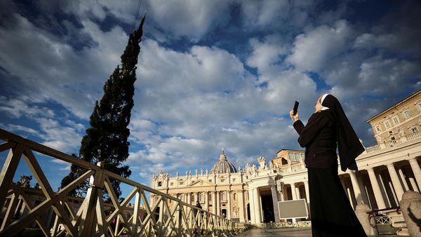 Dekorasi Pohon Natal Berdiri Tegak di Vatikan