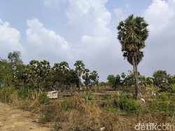 Asal-usul Nama Jurang Kuping Surabaya Menurut Pemerhati Sejarah