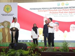 Mentan Dorong Penyuluh-Petani di Jatim Tingkatkan Produksi Padi & Jagung