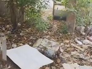 Geger Bangkai Kucing di Bogor Terbungkus Kain Kafan, Sempat Dikira Bayi