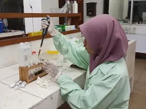 Mahasiswa UGM Bikin Obat Kanker Kolon dari Nanas, Begini Studinya Mahasiswa UGM Bikin Obat Kanker Kolon dari Nanas, Begini Studinya