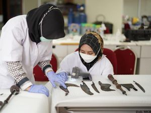 Kabar Terkini Pemulihan Museum Gajah Imbas Kebakaran, 90 Persen Teridentifikasi Kabar Terkini Pemulihan Museum Gajah Imbas Kebakaran, 90 Persen Teridentifikasi