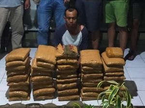 Polisi Gagalkan Pengiriman 45 Kg Ganja dari Sumbar ke Jakarta, Pelaku Ditembak Polisi Gagalkan Pengiriman 45 Kg Ganja dari Sumbar ke Jakarta, Pelaku Ditembak
