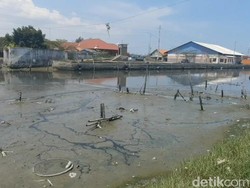 Kapal Nelayan di Tegal Tak Bisa Melaut Akibat Pendangkalan Muara Kali Bacin
