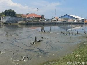 Kapal Nelayan di Tegal Tak Bisa Melaut Akibat Pendangkalan Muara Kali Bacin Kapal Nelayan di Tegal Tak Bisa Melaut Akibat Pendangkalan Muara Kali Bacin