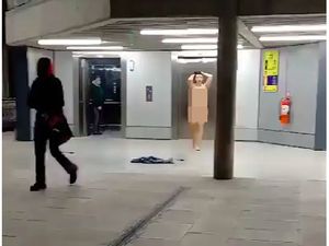 Turis Bugil Lari-lari di Bandara, Semua Panik! Turis Bugil Lari-lari di Bandara, Semua Panik!