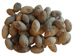 Arkeolog Temukan Pabrik Senjata Tertua di Israel