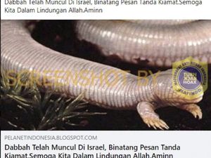 Hewan Tanda Kiamat yang Disebut Muncul d Israel Terjawab Hewan Tanda Kiamat yang Disebut Muncul d Israel Terjawab