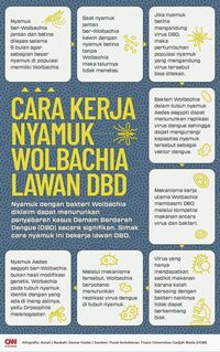 Syarat Pendaftaran SMA Taruna Nusantara 2025 Jalur Beasiswa, Calon Siswa Wajib Tahu!