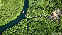 Lestarikan Mangrove, Upaya Desa Palaes Jaga Warisan Leluhur