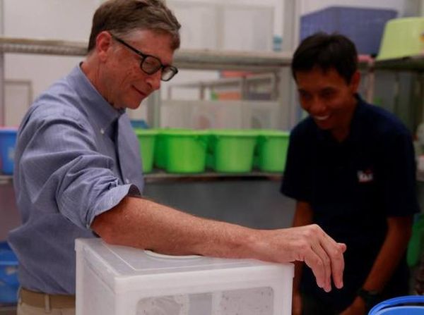 Momen Bill Gates Digigit Hewan Paling Berbahaya di Yogyakarta