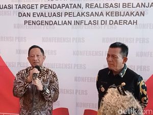 Harga Meroket, Mendagri Minta Pemda di Kepri Aktifkan Gerakan Tanam Cabai