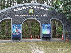 Berbagai Destinasi Menarik di Taman Hutan Raya Bandung Berbagai Destinasi Menarik di Taman Hutan Raya Bandung