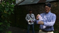 Yayasan Bill Gates Bantu Lepas 30 Juta Nyamuk Setiap Minggunya, Buat Apa?