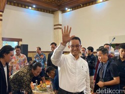 2 Alasan Anies Kritik Food Estate, Tawarkan Contract Farming