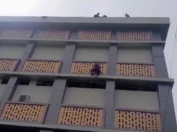 Dramatis, Damkar Evakuasi Kucing Terjebak di Dinding Luar Lantai 4 UNP