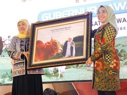 Khofifah Optimis Jatim Mampu Antarkan Indonesia Wujudkan Swasembada Daging