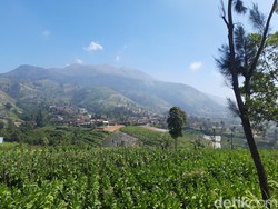 Kata BTNGMb dan Pihak Open Trip soal Viral Area Kamping Merbabu Dikaveling