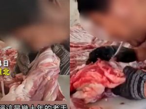 Jijik! Penjual Ini Lepaskan Tulang dari Daging Mentah Pakai Mulutnya Jijik! Penjual Ini Lepaskan Tulang dari Daging Mentah Pakai Mulutnya