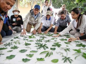 Serunya Warga Pekayon Bekasi Belajar Ecoprint dari Daun Bareng Astra