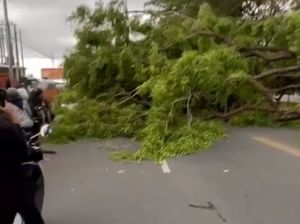 24 Bangunan Rusak Diterjang Hujan-Angin Kencang di Makassar, 2 Warga Luka