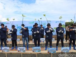 Pelindo Dukung Ekonomi Hijau Lewat Penanaman Mangrove di Pesisir Maros