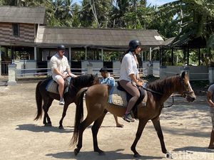 Menapaki Keindahan Bali dengan Berkuda, Olahraga Elit Langganan Artis Menapaki Keindahan Bali dengan Berkuda, Olahraga Elit Langganan Artis