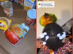 Antre Panjang Demi Kalkun Gratis, Wanita Ini Malah Dapat Ayam Mini