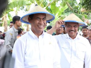 Anies Kritik Food Estate dan Pilih Contract Farming, Ini Kata Mentan