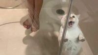 Kumpulan Foto Humoris yang Menghibur Weekend Kamu