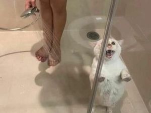 Kumpulan Foto Humoris yang Menghibur Weekend Kamu