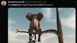 Meme Gajah Muncul Lagi Usai Arsenal ke Puncak Klasemen Liga Inggris