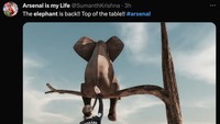 Meme gajah ini menggambarkan keheranan penggemar melihat Arsenal yang tiba-tiba sudah duduk di puncak klasemen! (Foto: Twitter)